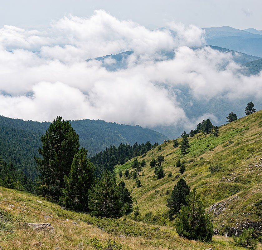 Mountain landscape on Mount Vermio in Macedonia, Greece